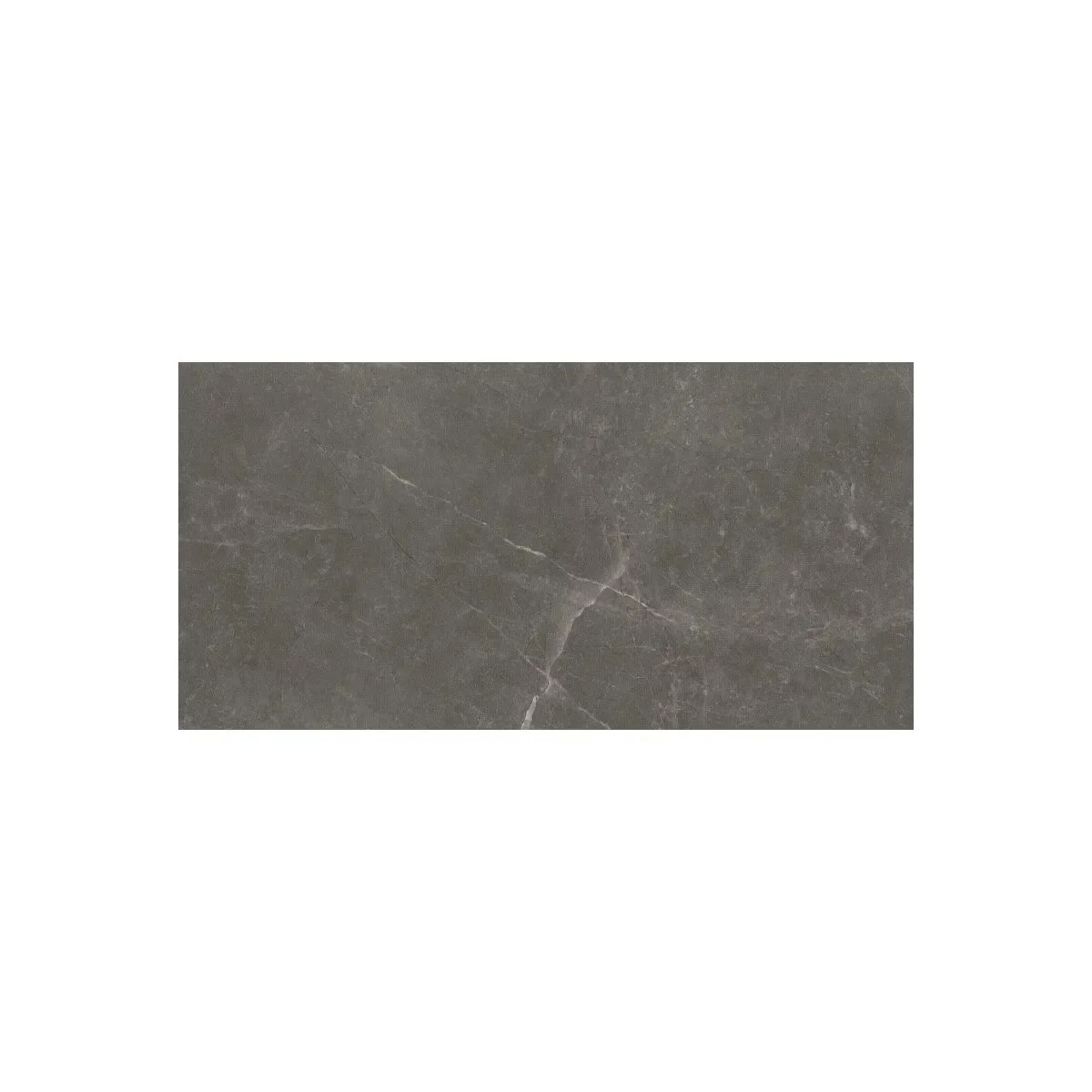 Bayona Grey Natural 60×120