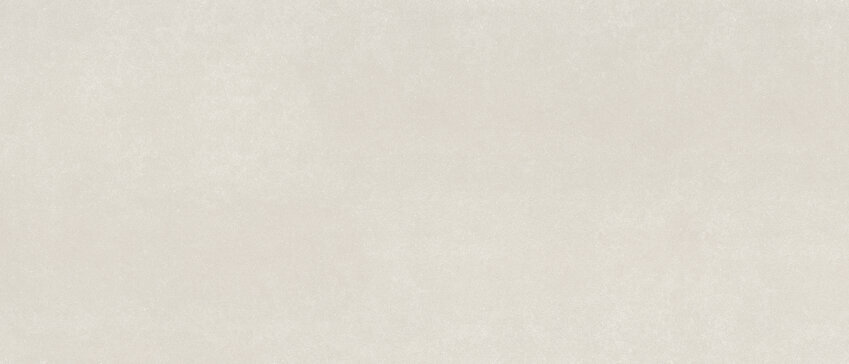 DL.NEOCEM BONE 120x280