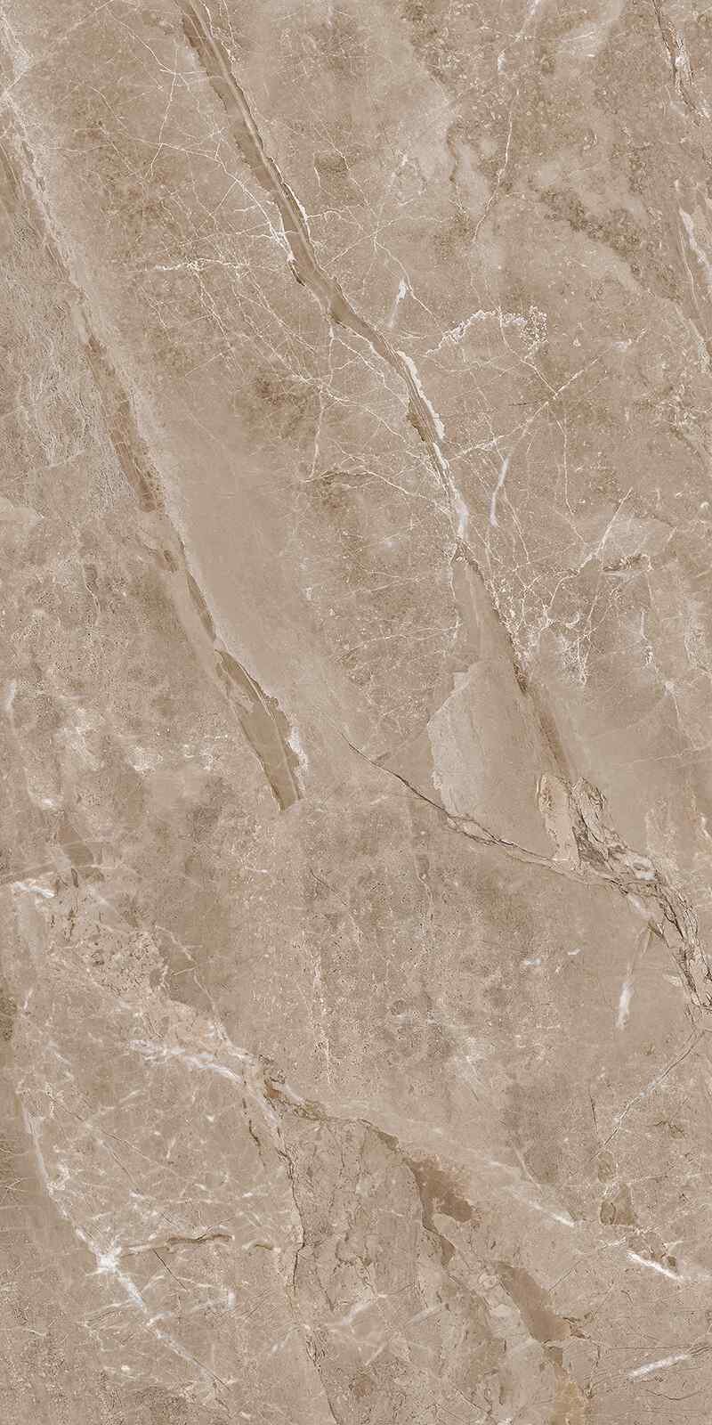 Dlažba Fusion Brown 60×120 cm matná