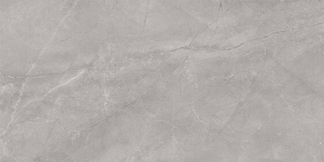 Bayona Silver Natural 60 x 120