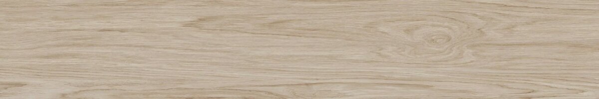 Ferriere Faggio 20x120