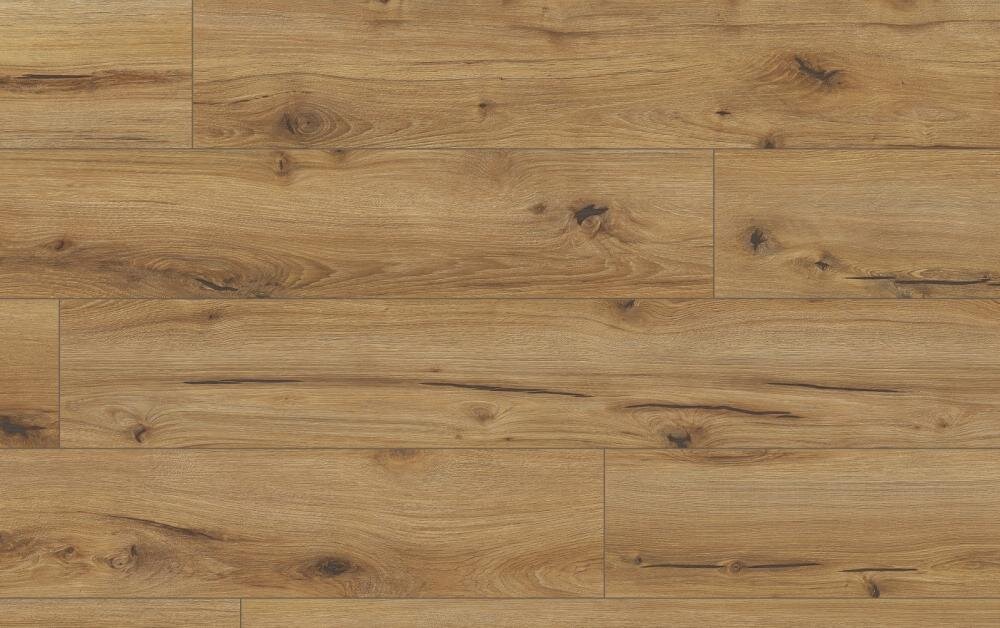 Laminátová podlaha Arteo (Classen) 8M Dub Erg 62750, 8 mm, AC5